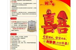新华保险红双喜,全面保障与投资分红双赢的保险产品