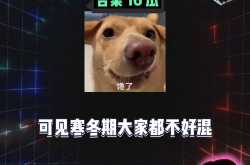 娱乐八卦吃瓜社,明星背后的那些事儿