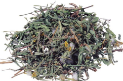 花红片的功效与作用,女性妇科疾病的天然守护神