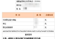 吉林省公务员考试成绩查询,分数线公布及查询指南”